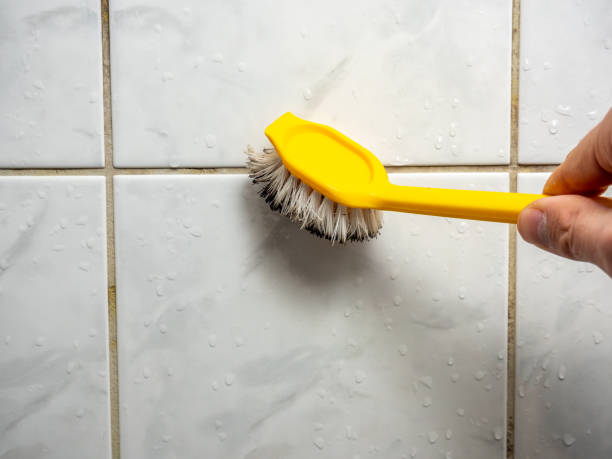 Best Affordable Mold Removal  in Glenn Dale, MD