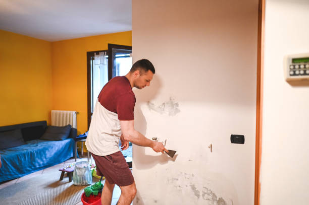 Best Professional Mold Removal  in Glenn Dale, MD